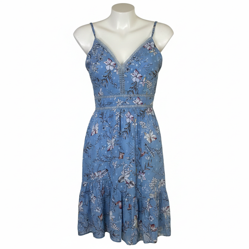 Blue flower minuet dress on white background